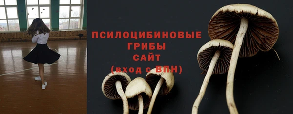 амф Беломорск