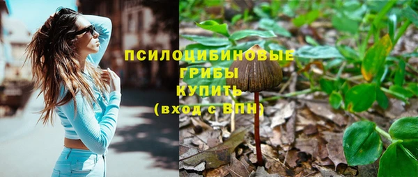 крисы Белоозёрский