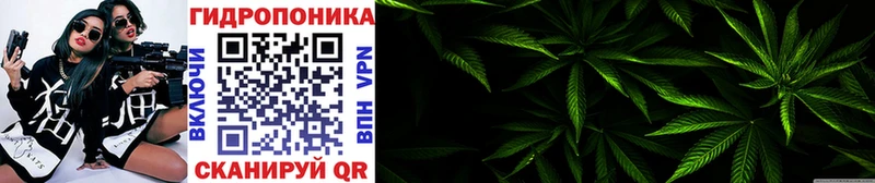 Конопля марихуана Наро-Фоминск